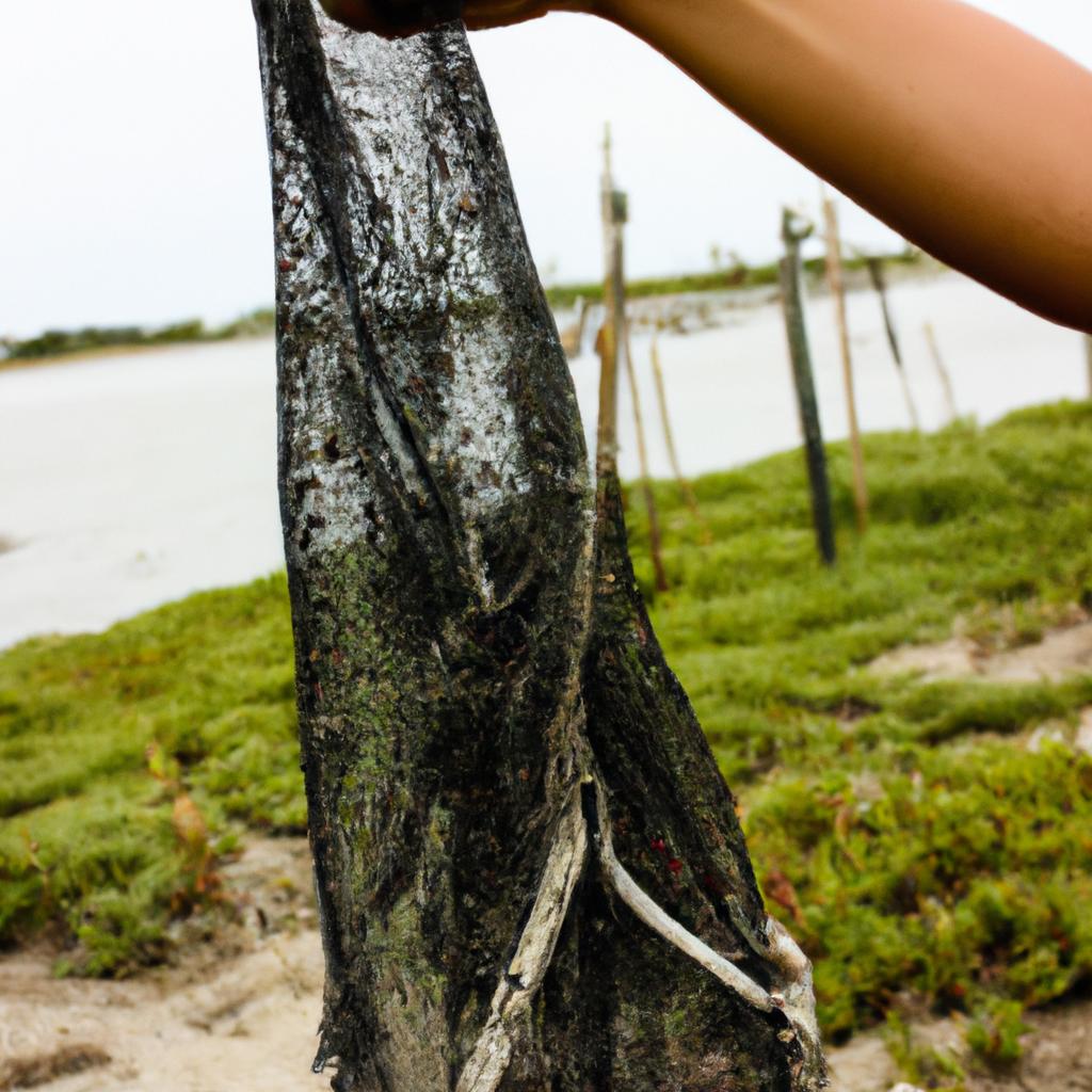 Person holding sustainable fishing net
